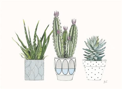 Spiny Desert Plants I