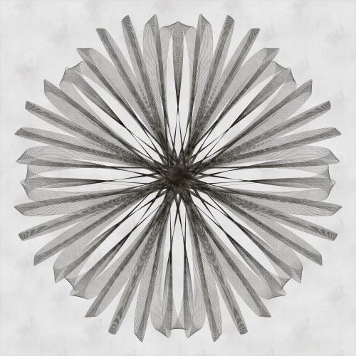 Connectivity II