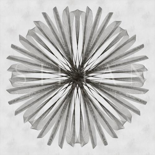 Connectivity II