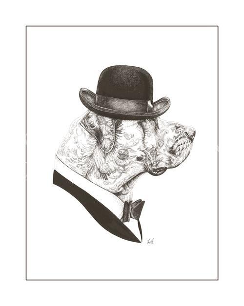 B & W Animal Portrait IV