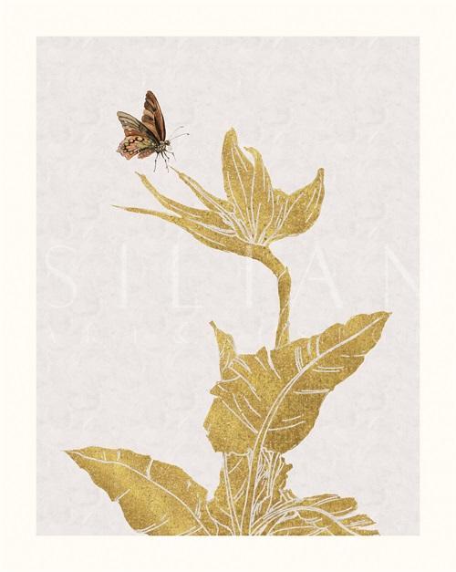 Plants And Insects III