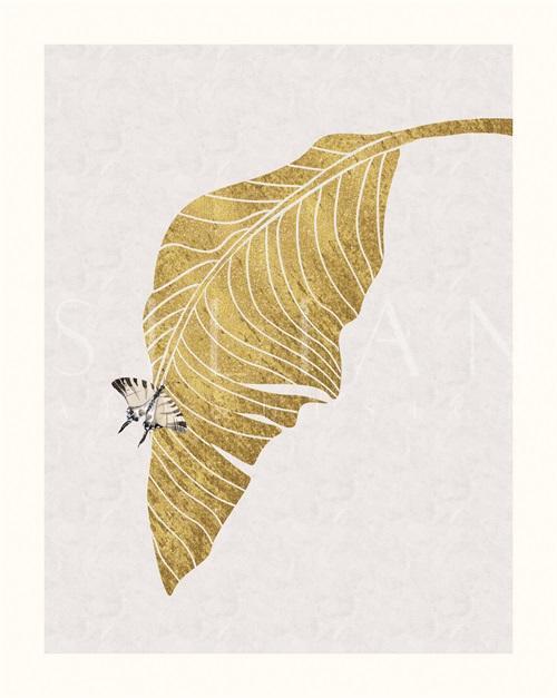 Plants And Insects II