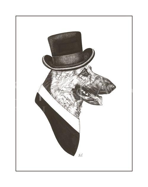 B & W Animal Portrait II