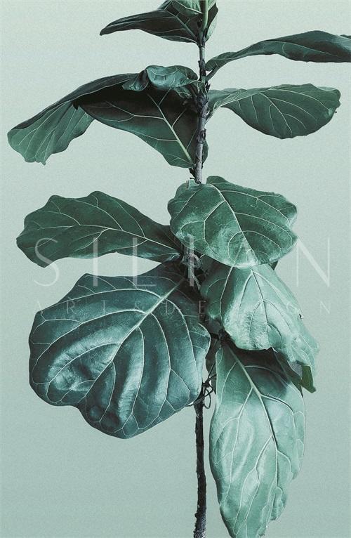 Qin Leaves Yung
