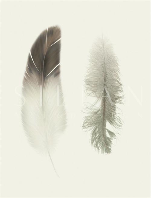 Soft Feathers I