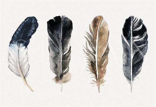 Tribal Feather II