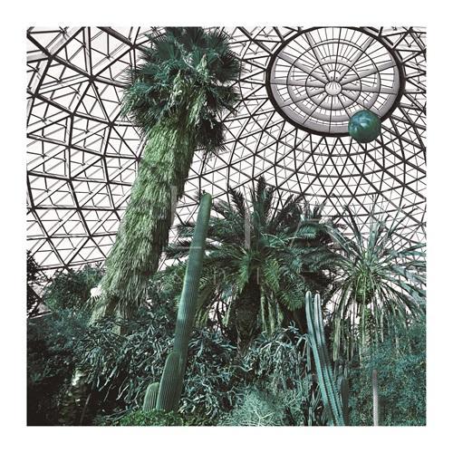 Botanical Garden III