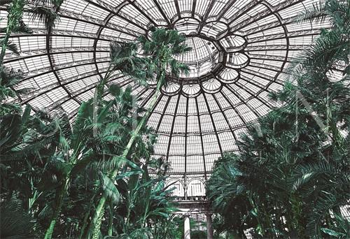 Botanical Garden I