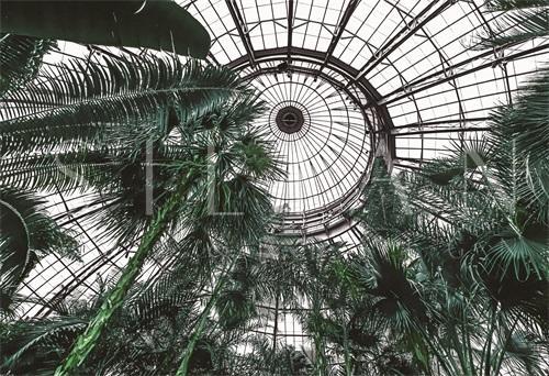 Botanical Garden II