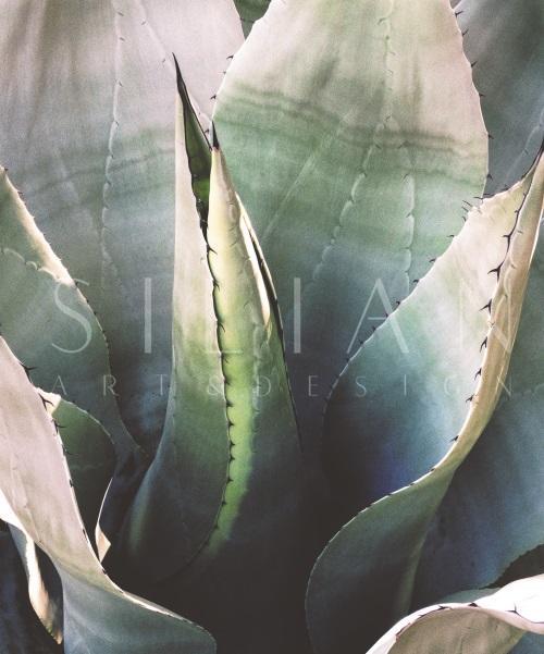 Watermark Foliage V