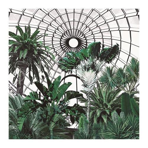 Botanical Garden IV