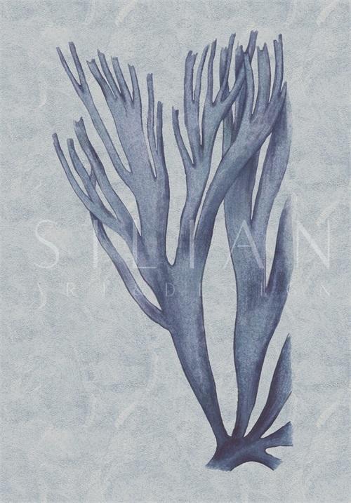 Indigo Coral IV