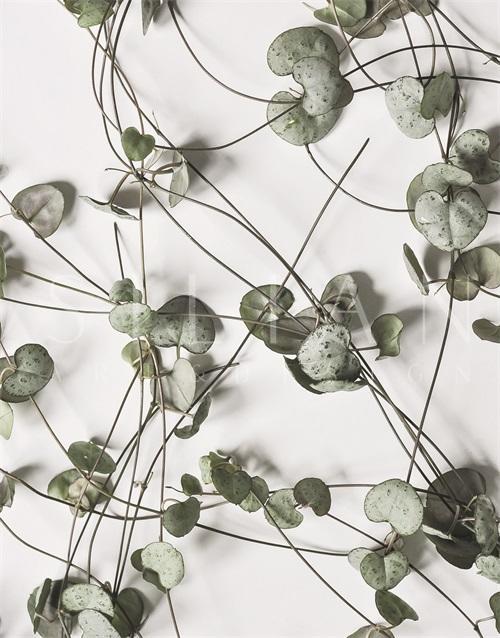 Watermark Foliage III