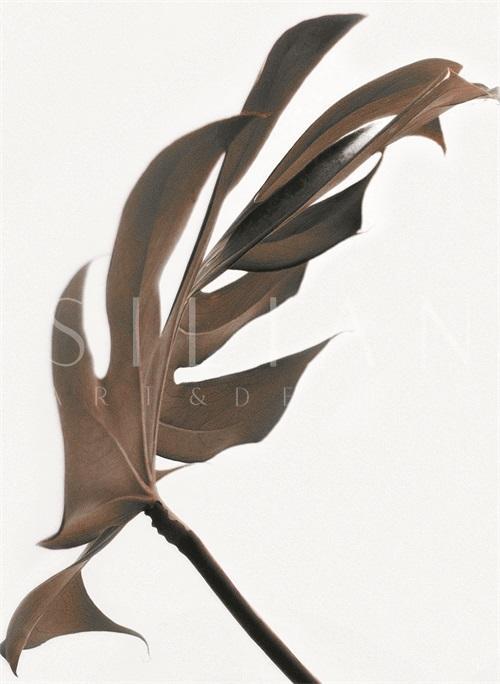 Watermark Foliage II