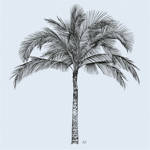 Blue is Tropical II