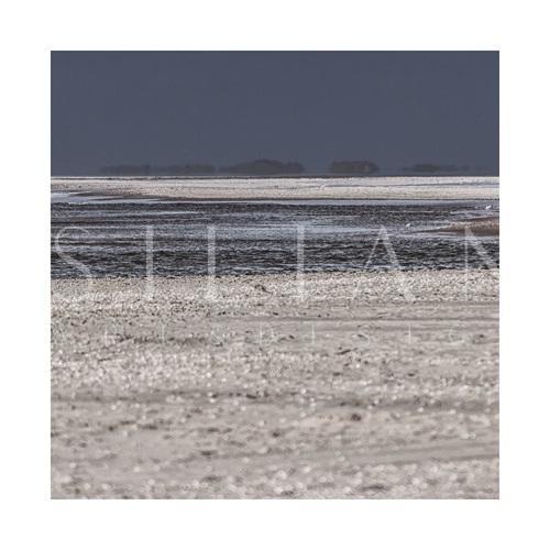 Sea Level IV