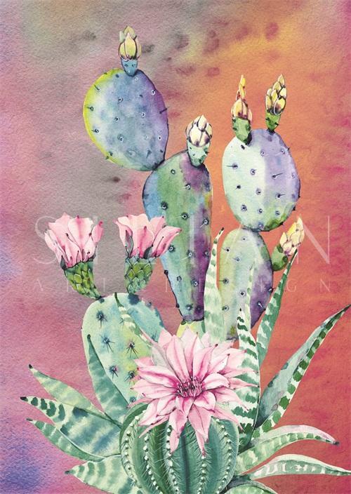 Desert Blooms I