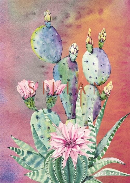 Desert Blooms I