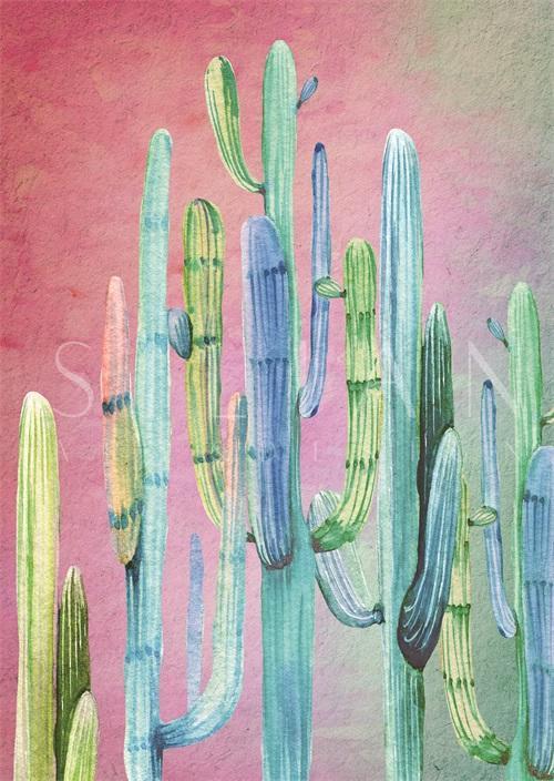 Desert Blooms II