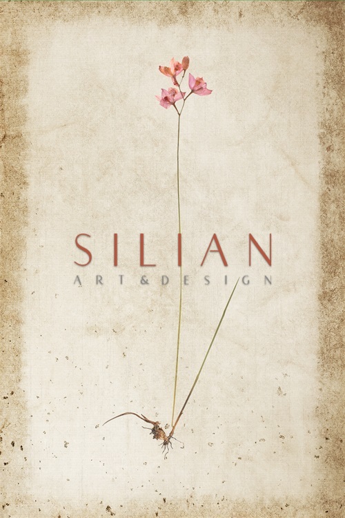 Vintage Plant Study XVI