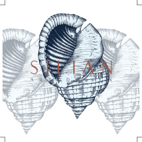 Shell Display III