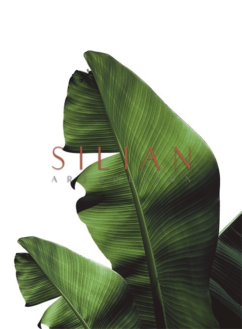 Banana Leaves II