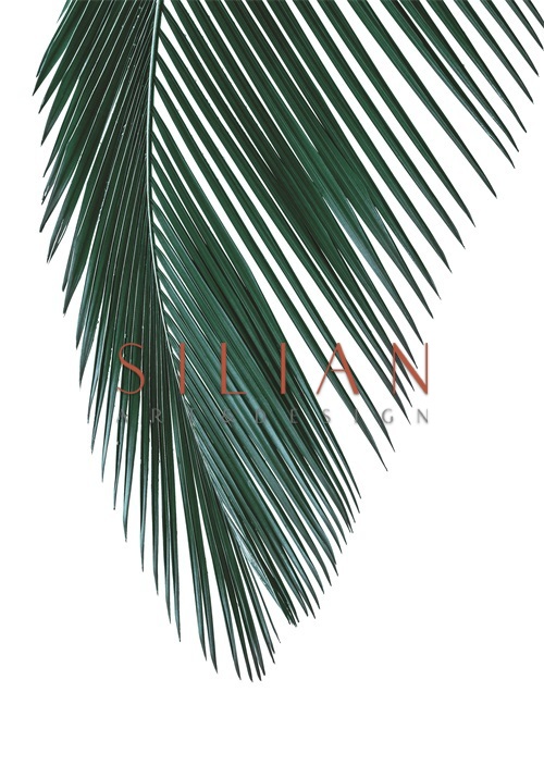 Coconut Leaves III