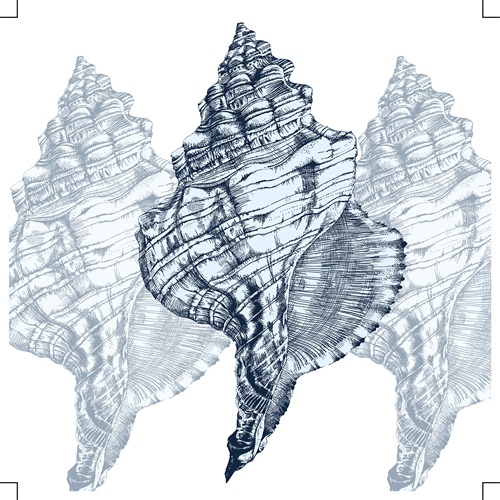 Shell Display IV