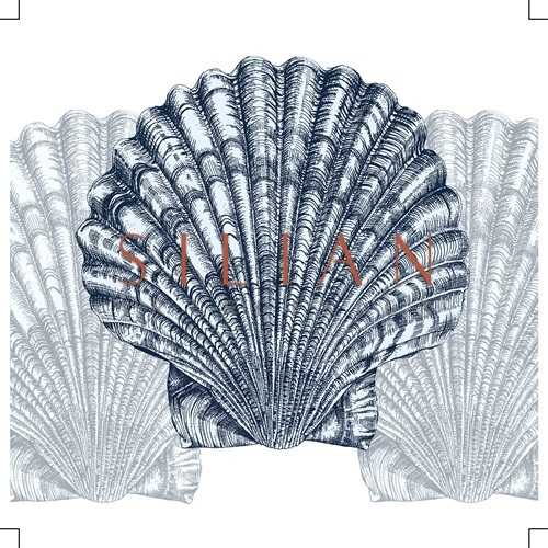 Shell Display II