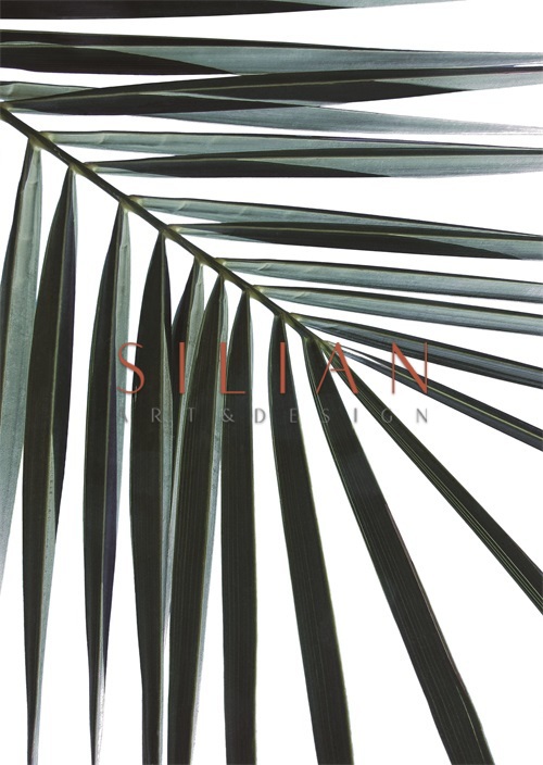 Coconut Leaves II
