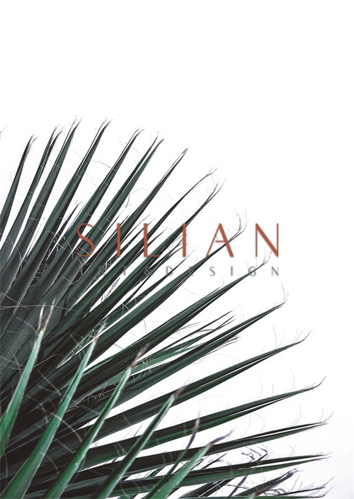 Coconut Leaves I