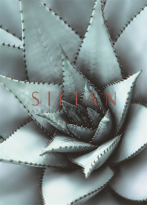 Succulent Plants