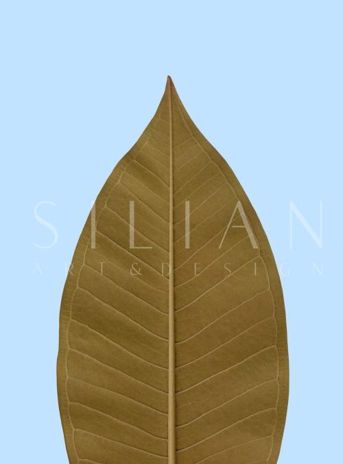 Leaf Craft Painting IV