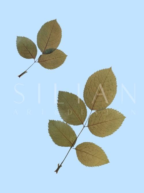 Leaf Craft Painting I