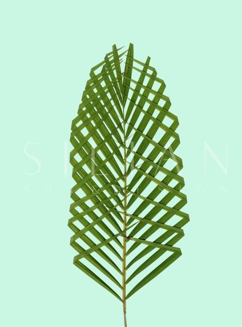 Leaf Craft Painting IX