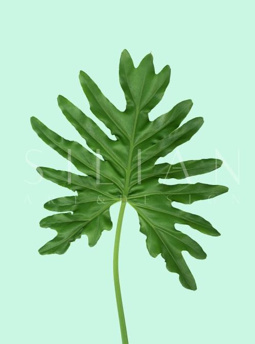 Leaf Craft Painting VII