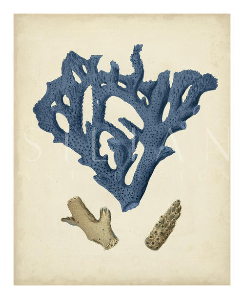 Indigo Coral VII