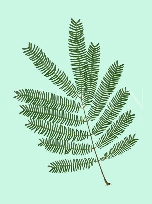 Leaf Craft Painting V