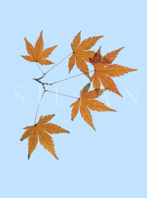 Leaf Craft Painting III