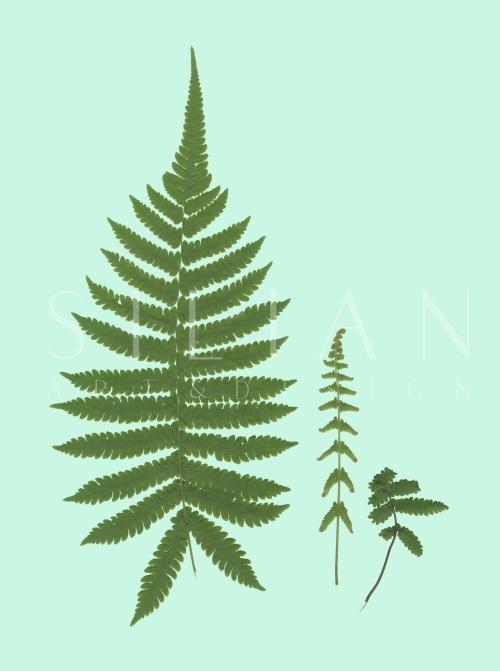 Leaf Craft Painting VIII