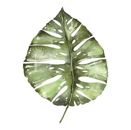 Emerald Tropics II