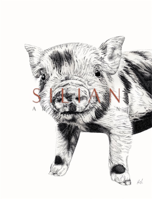 B & W Animal Portrait IV