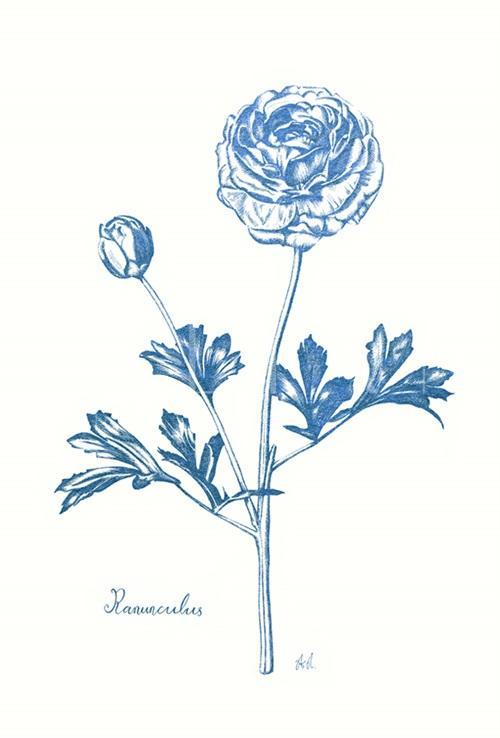 Blooming IV