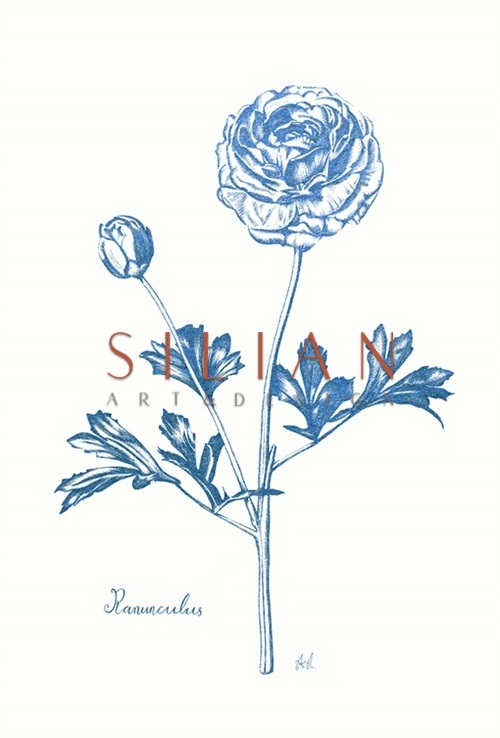 Blooming IV