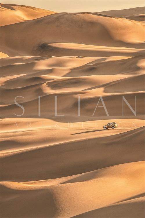 Views of Desert VII