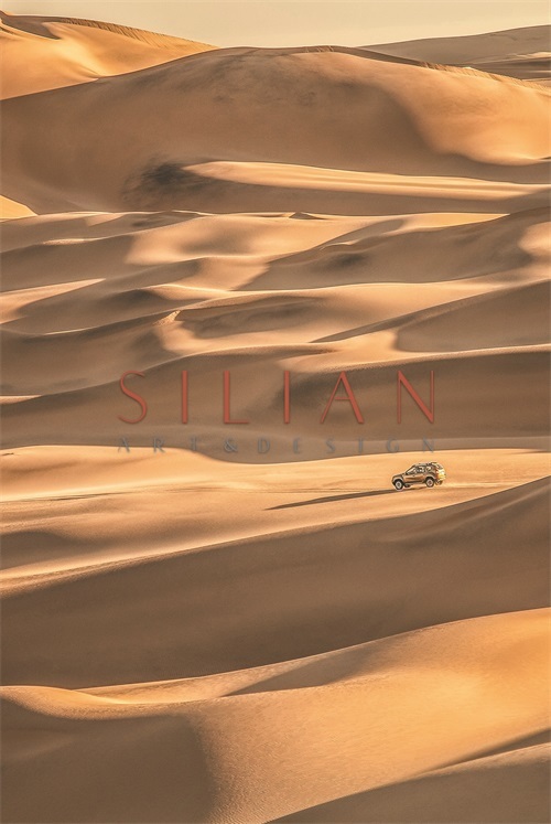 Views of Desert VII