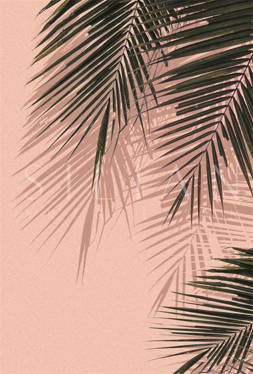 Coconut Leaves I