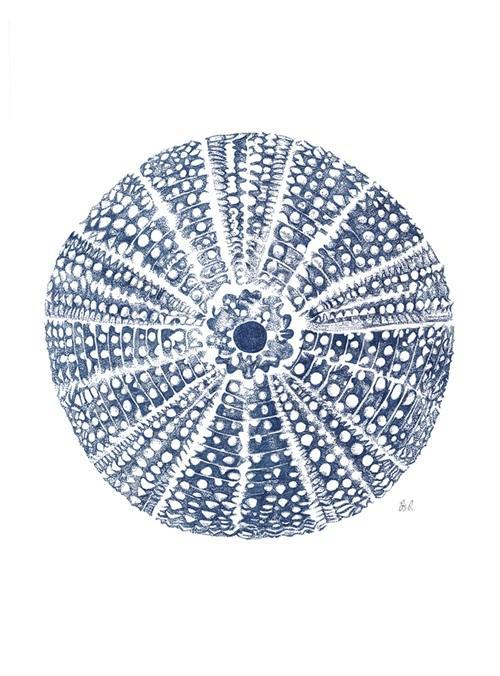 Marine Blueprint VI