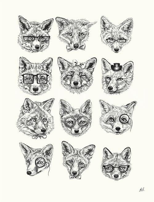 Animal Portrait III