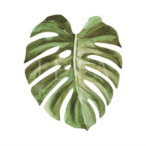 Emerald Tropics III